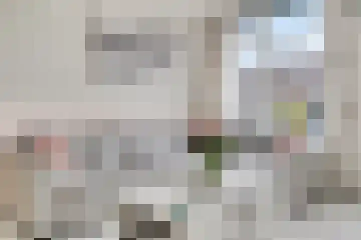 Dijkgraaf 58 Alphen aan den Rijn thumbnail 11