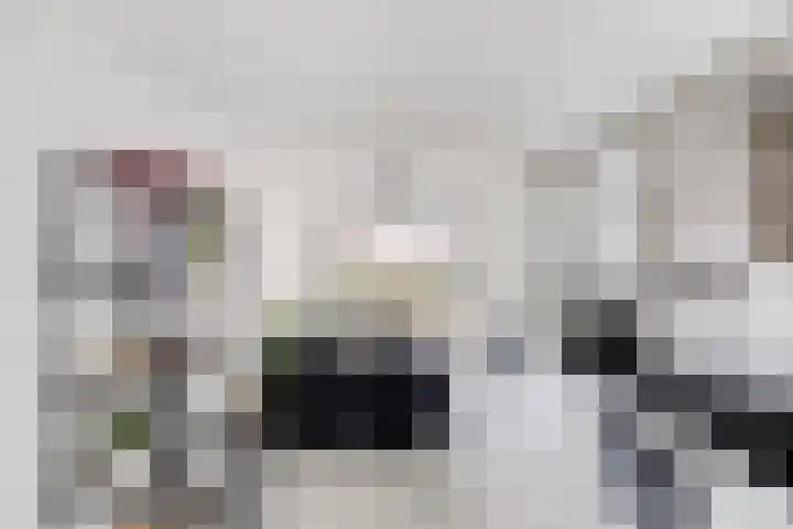 Dijkgraaf 58 Alphen aan den Rijn thumbnail 16