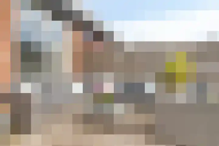 Dijkgraaf 58 Alphen aan den Rijn thumbnail 30