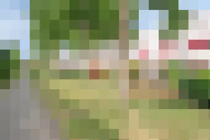 Dijkgraaf 58 Alphen aan den Rijn thumbnail 33