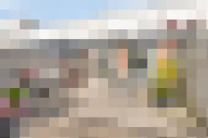 Dijkgraaf 58 Alphen aan den Rijn thumbnail 5