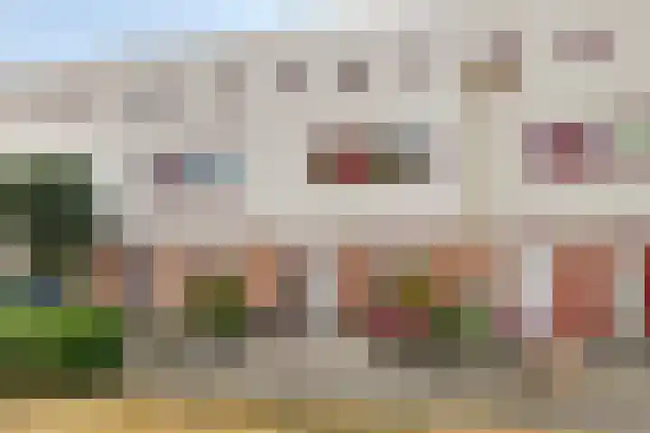 Dijkgraaf 58 Alphen aan den Rijn thumbnail 6
