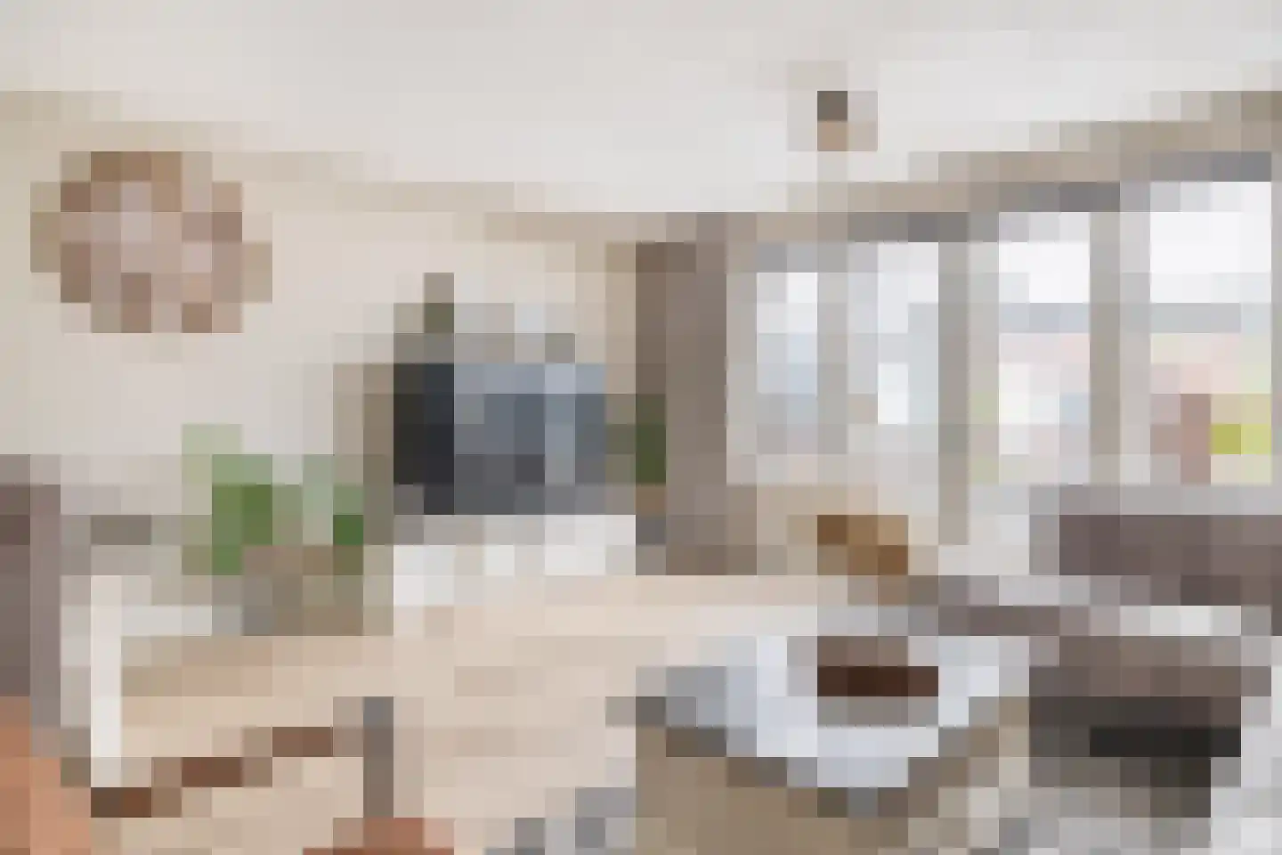 Dijkgraaf 58 Brielle thumbnail 22