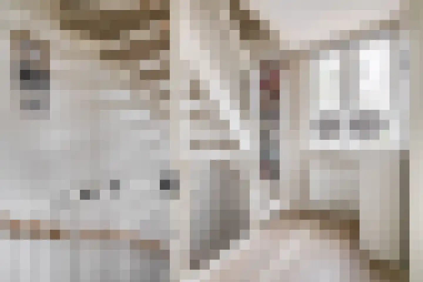 Dijkgraaf 58 Brielle thumbnail 27