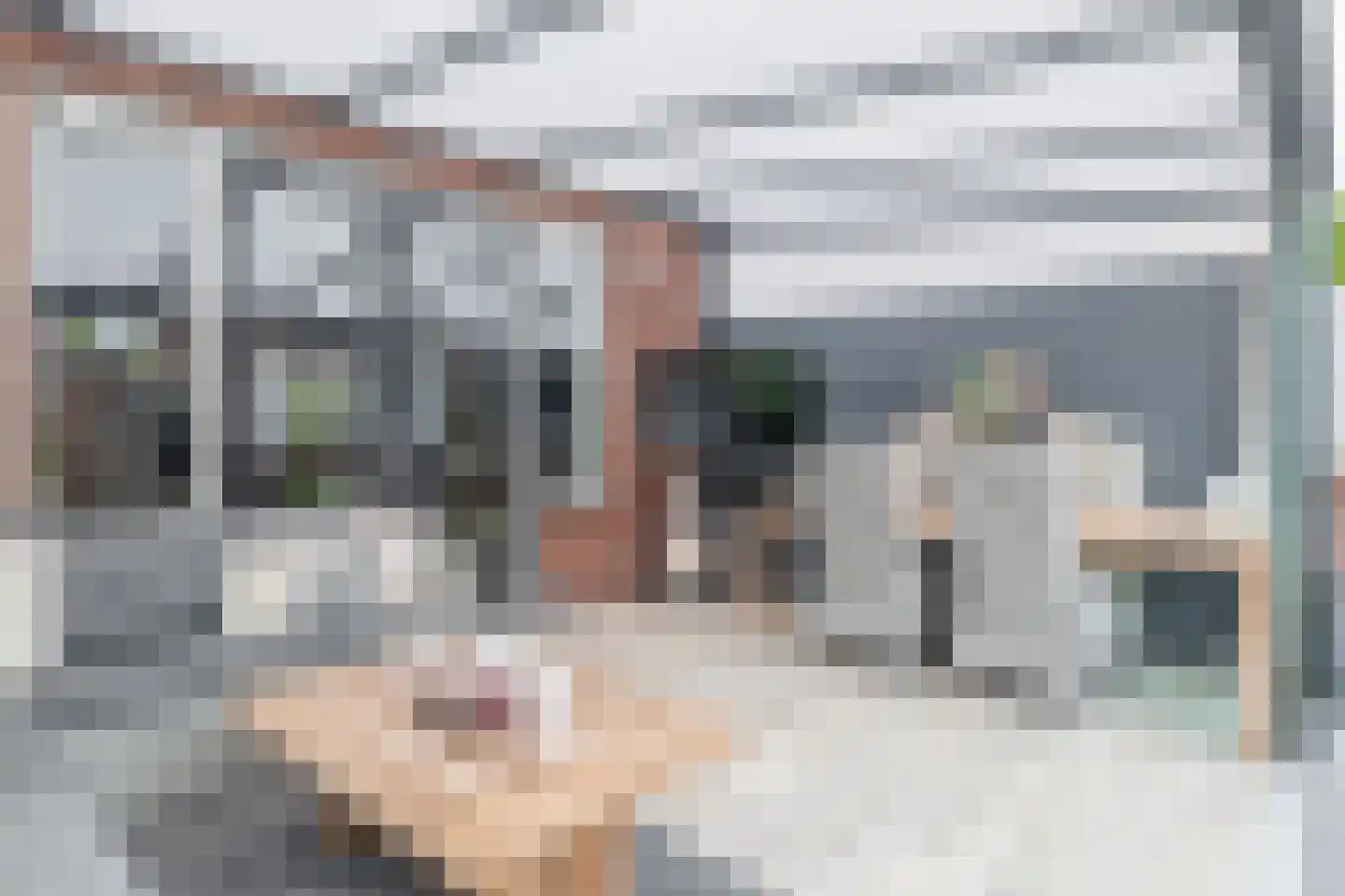 Dijkgraaf 58 Brielle thumbnail 40