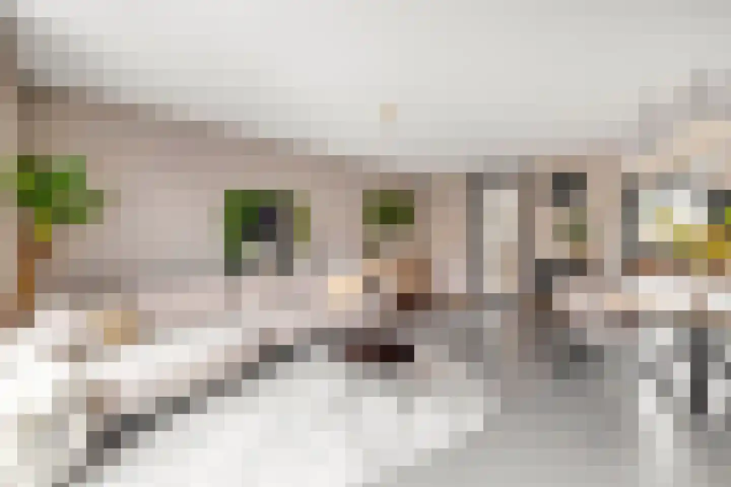 Dijkgraaf 60 Brielle thumbnail 11