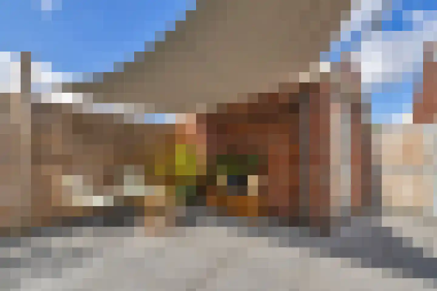 Dijkgraaf 60 Brielle thumbnail 29