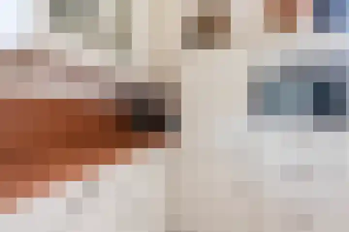 Dijkgraaf 7 Zwaag thumbnail 13