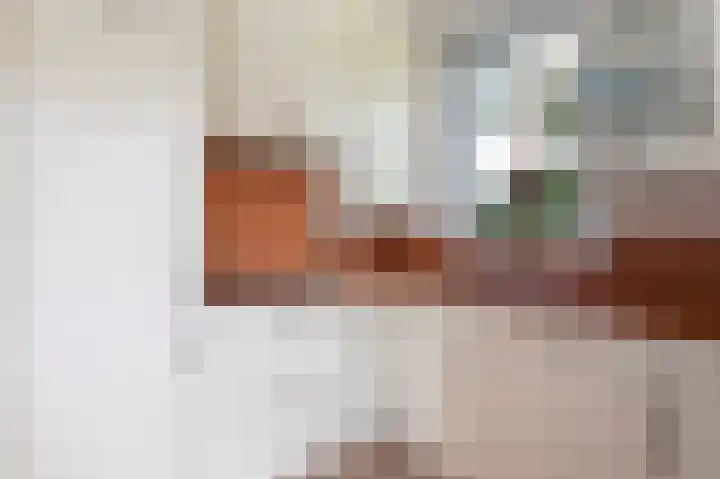 Dijkgraaf 7 Zwaag thumbnail 14