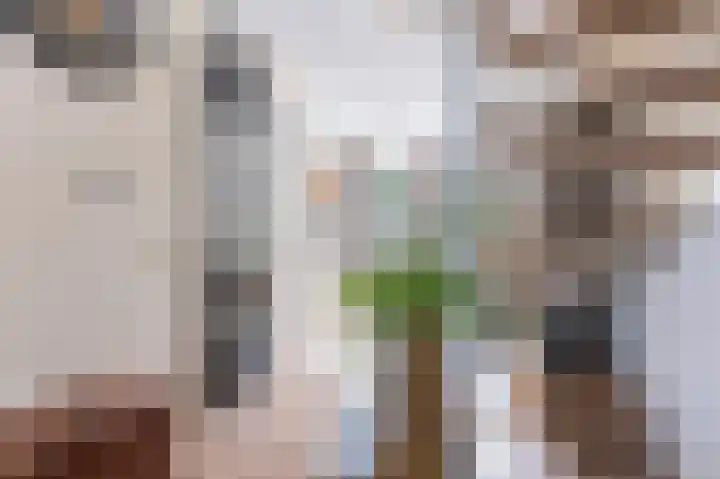 Dijkgraaf 7 Zwaag thumbnail 15