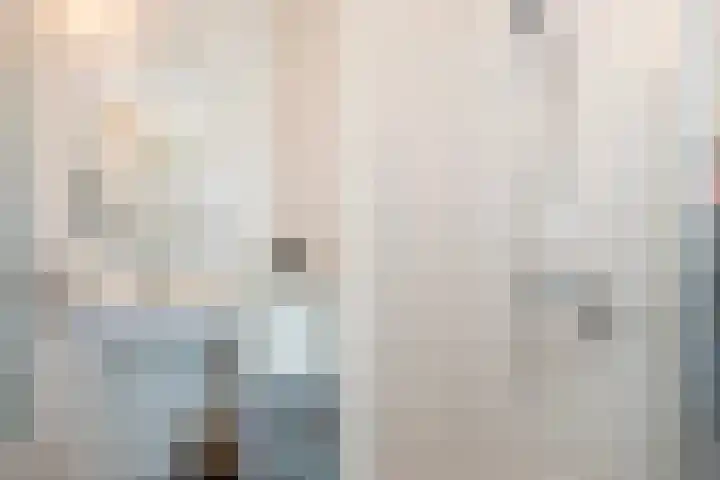 Dijkgraaf 7 Zwaag thumbnail 16