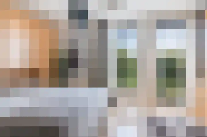 Dijkgraaf 7 Zwaag thumbnail 18