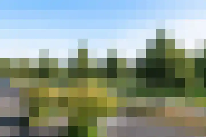 Dijkgraaf 7 Zwaag thumbnail 19