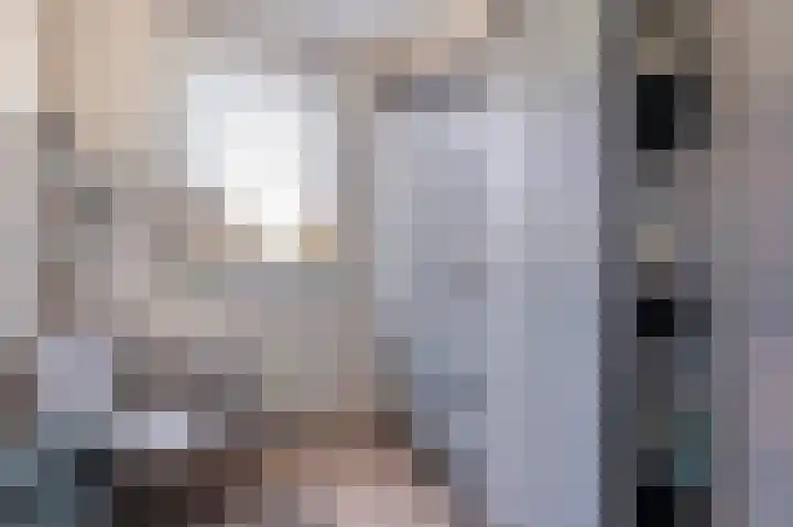 Dijkgraaf 7 Zwaag thumbnail 22