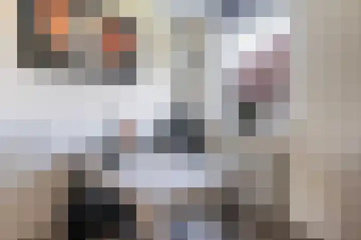 Dijkgraaf 7 Zwaag thumbnail 24