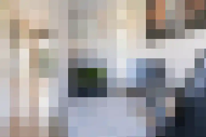Dijkgraaf 7 Zwaag thumbnail 25