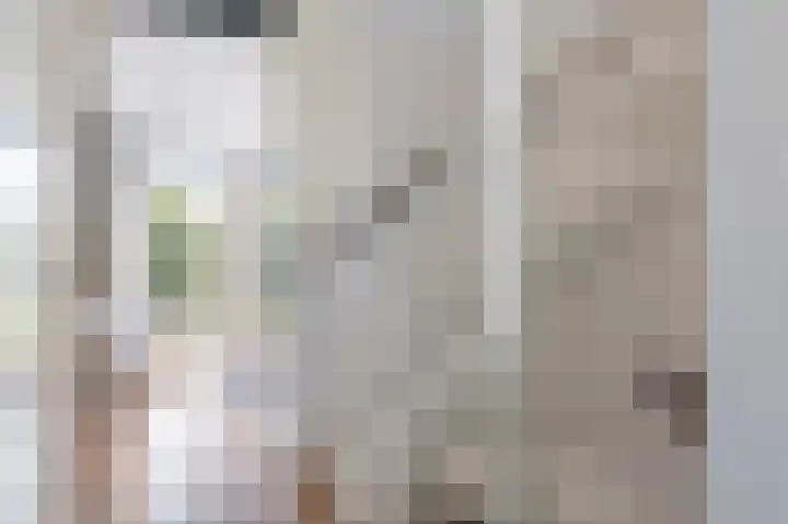 Dijkgraaf 7 Zwaag thumbnail 27