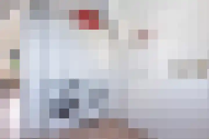 Dijkgraaf 7 Zwaag thumbnail 31