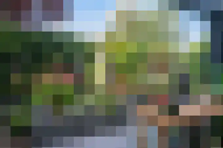 Dijkgraaf 7 Zwaag thumbnail 33