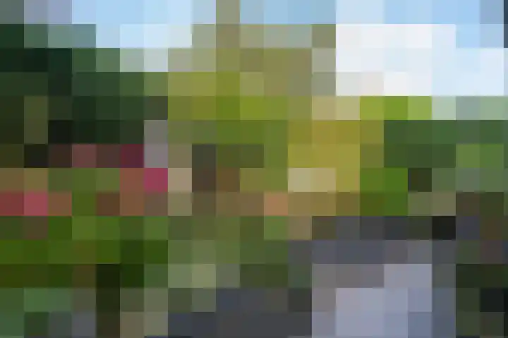 Dijkgraaf 7 Zwaag thumbnail 34