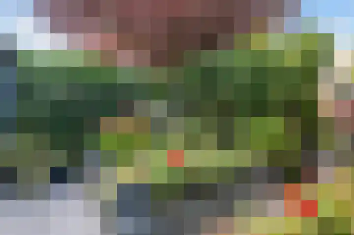 Dijkgraaf 7 Zwaag thumbnail 35
