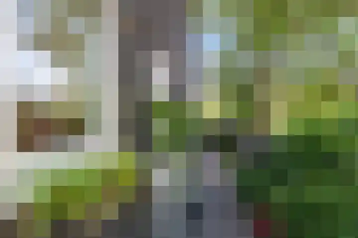 Dijkgraaf 7 Zwaag thumbnail 36