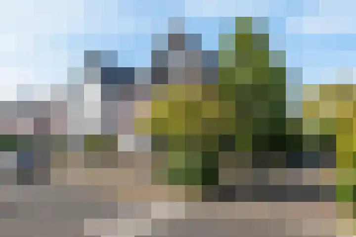Dijkgraaf 7 Zwaag thumbnail 37
