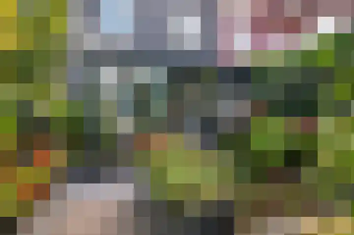 Dijkgraaf 7 Zwaag thumbnail 4