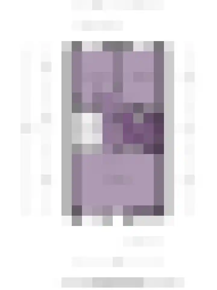 Dijkgraaf 7 Zwaag thumbnail 41