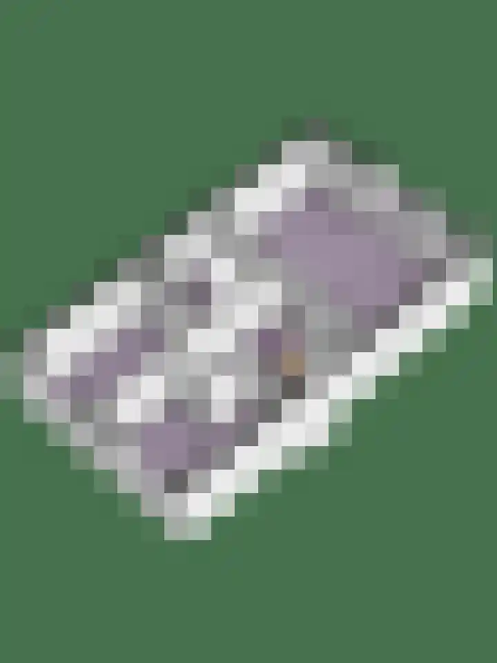 Dijkgraaf 7 Zwaag thumbnail 42