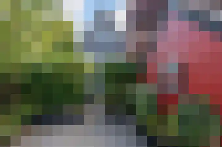 Dijkgraaf 7 Zwaag thumbnail 5