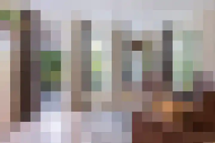 Dijkgraaf 7 Zwaag thumbnail 8