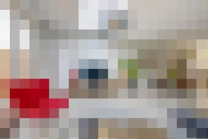 Dijkgraaf 76 Brielle thumbnail 11