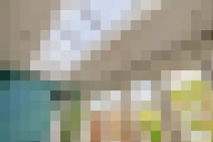 Dijkgraaf 76 Brielle thumbnail 12