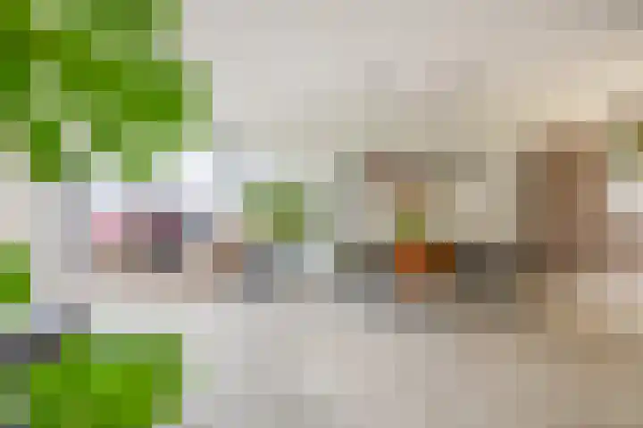Dijkgraaf 76 Brielle thumbnail 14