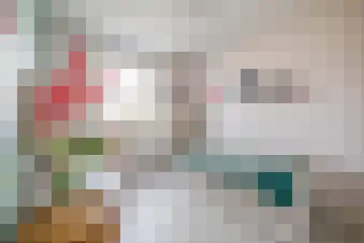 Dijkgraaf 76 Brielle thumbnail 20