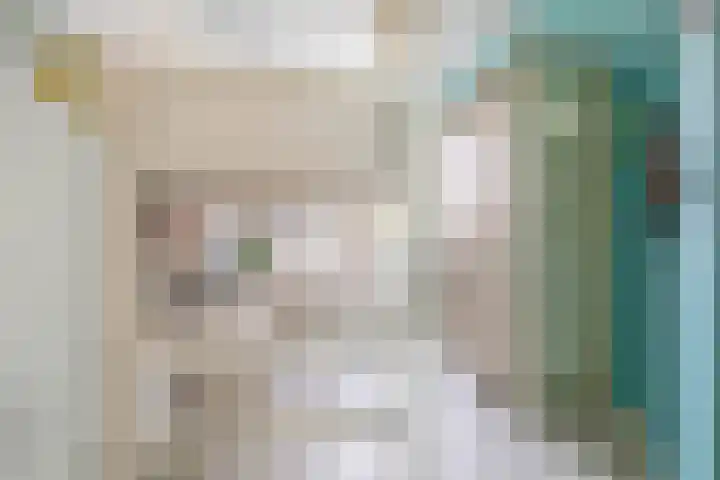 Dijkgraaf 76 Brielle thumbnail 22