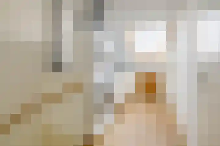 Dijkgraaf 76 Brielle thumbnail 28