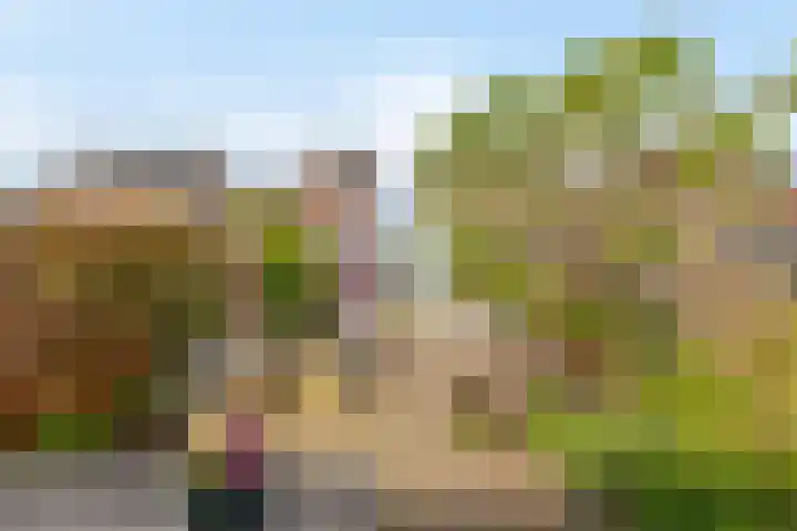 Dijkgraaf 76 Brielle thumbnail 30