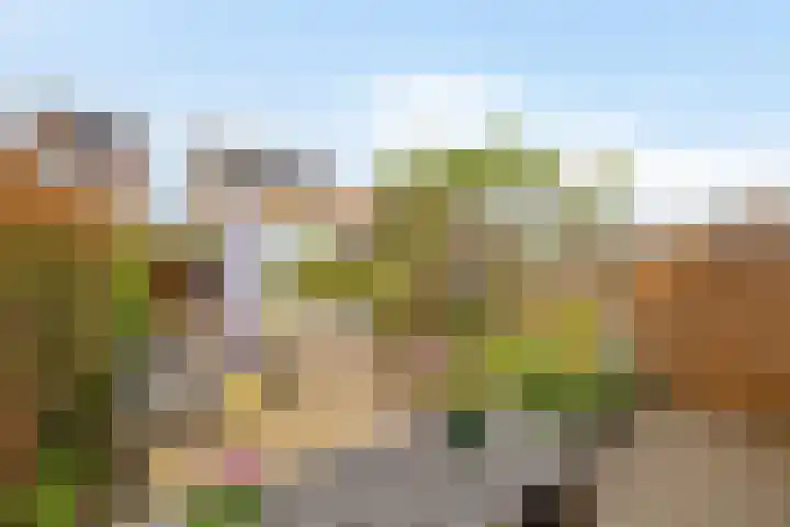 Dijkgraaf 76 Brielle thumbnail 31