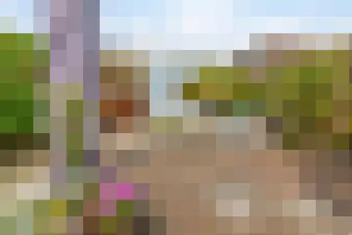 Dijkgraaf 76 Brielle thumbnail 32
