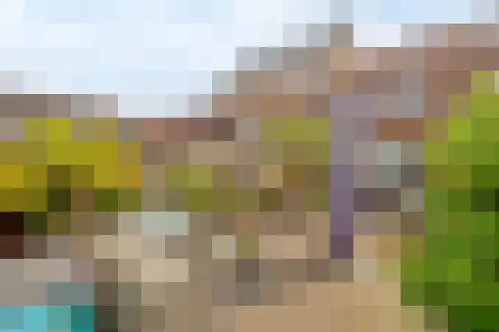 Dijkgraaf 76 Brielle thumbnail 33