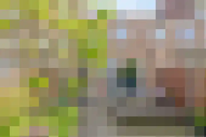 Dijkgraaf 76 Brielle thumbnail 34