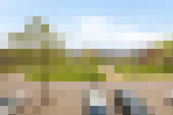 Dijkgraaf 76 Brielle thumbnail 36