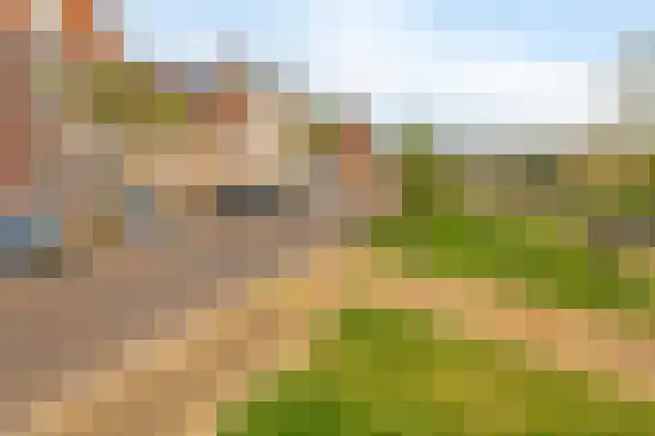 Dijkgraaf 76 Brielle thumbnail 38