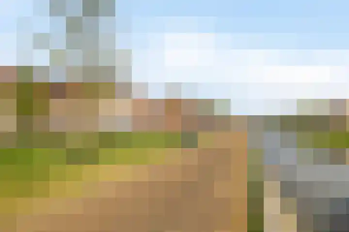 Dijkgraaf 76 Brielle thumbnail 39