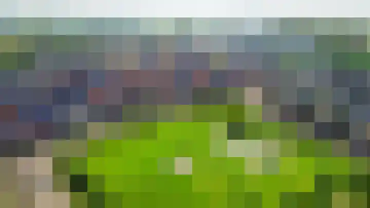 Dijkgraaf 76 Brielle thumbnail 44