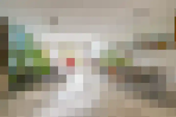 Dijkgraaf 76 Brielle thumbnail 8