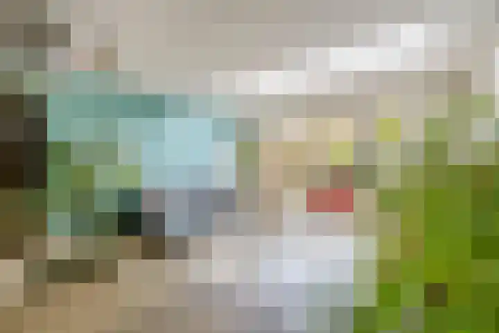 Dijkgraaf 76 Brielle thumbnail 9