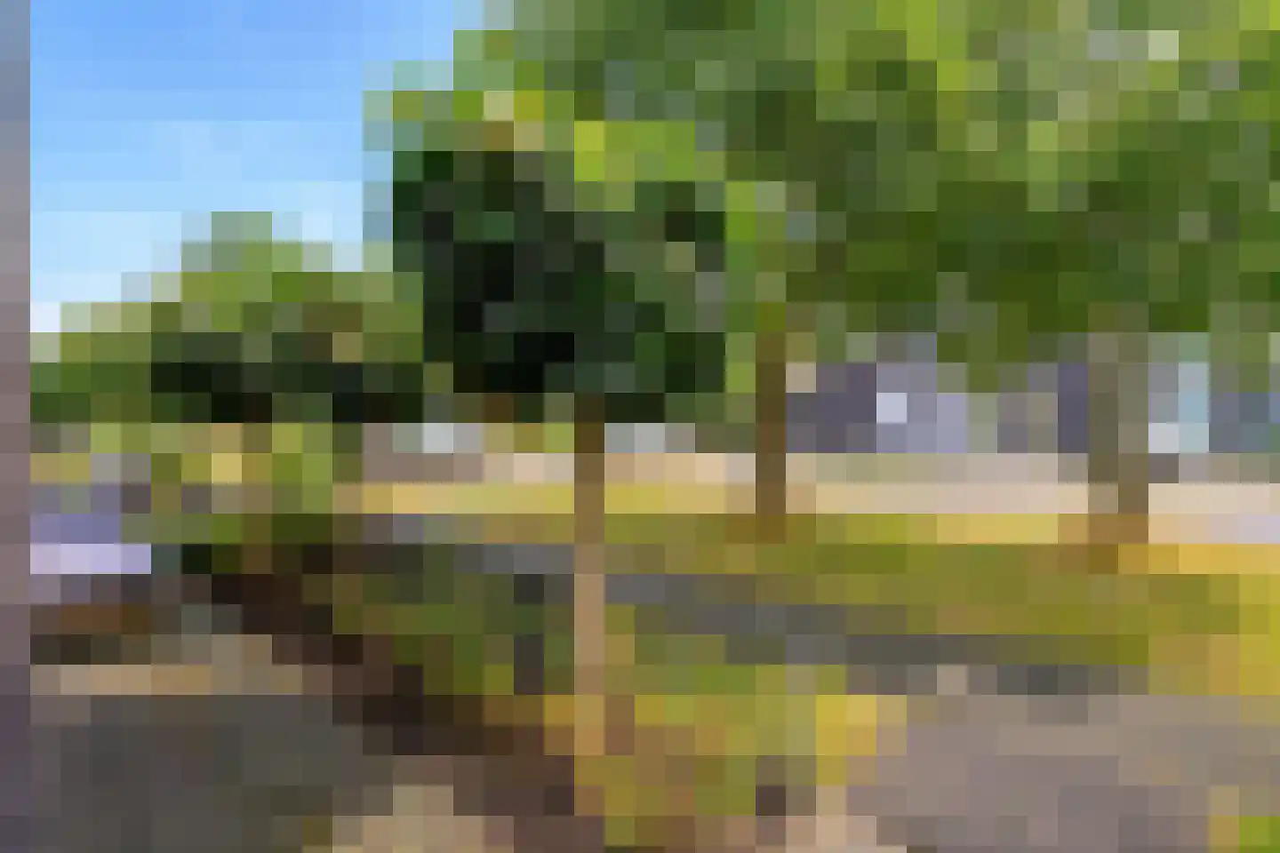 Dijkgraaf 90 Zwaag thumbnail 10